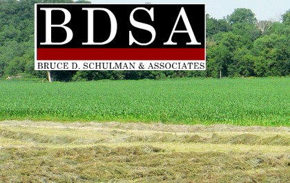 BDSA